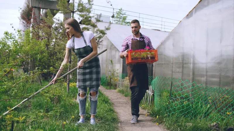 植栽後の水やりで大切にしたい基本の考え方